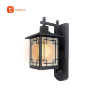 1080p Outdoor Sconce Light IP Camera