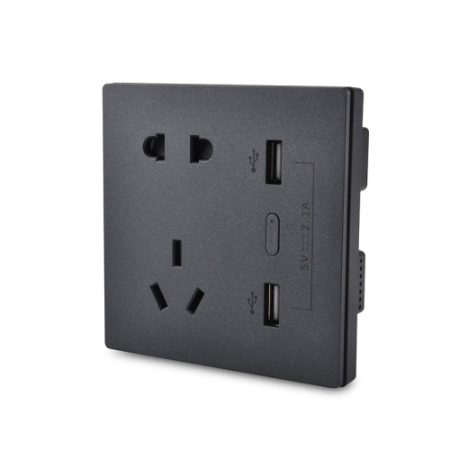 250V 10A Smart Zigbee Wall Socket With USB Charging Ports 