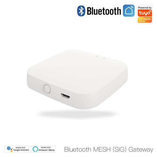 Blutooth SIG+MESH Smart HUB