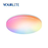 Smart Wi-Fi Ceiling lights RGB CCT Adjustable Dimmable IP54 Waterproof IK08 15W 18W 24W