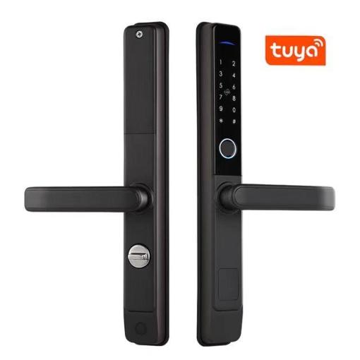 Broken bridge Aluminum Tuya wifi smart door lock