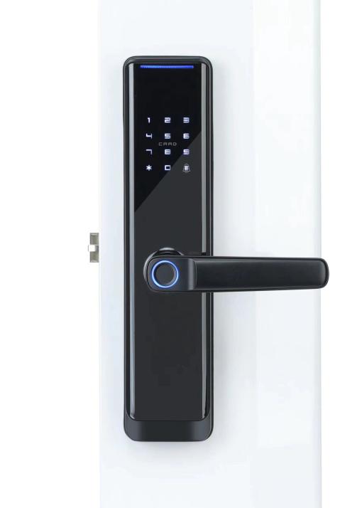 E513 SMART LOCK